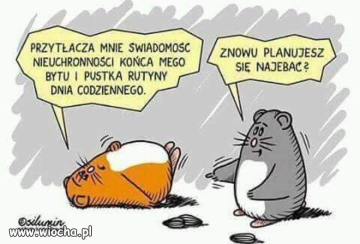 Tak bardzo prawdziwe 