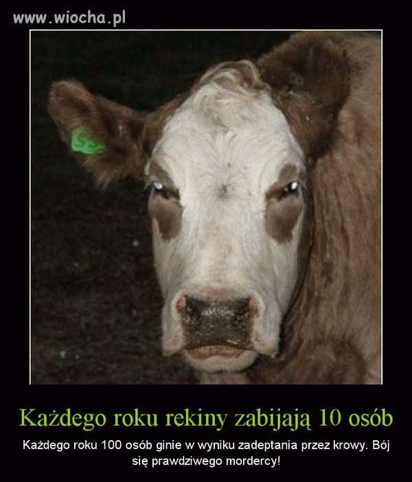 Wieści ze świata