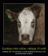 Wieści ze świata