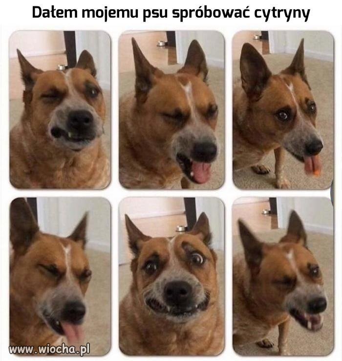 Myślicie, że smakowało?