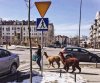 Spacerkiem po Warszawie