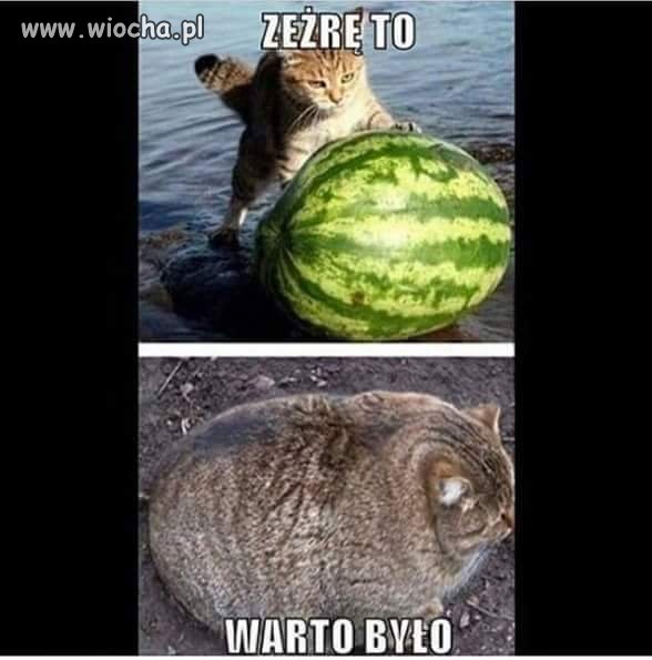 Warto było...