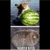 Warto było...