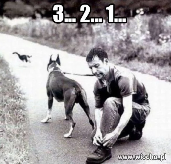 Zaraz