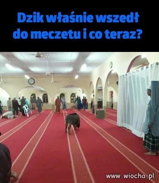 I co teraz?