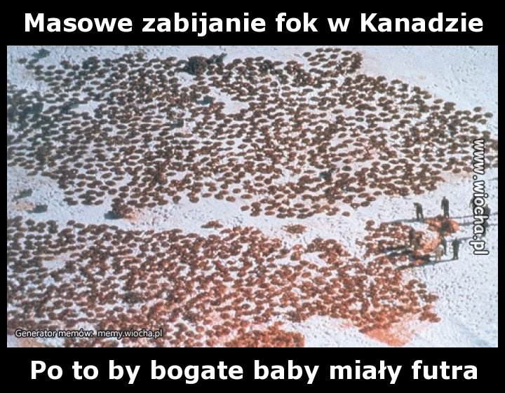 Świat jest poje...