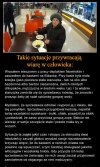 A według was