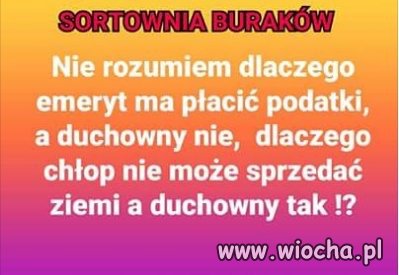 Pytanie 