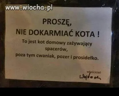 Dobry "koteł"