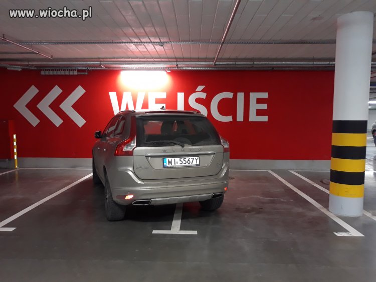 Mistrz parkowania 