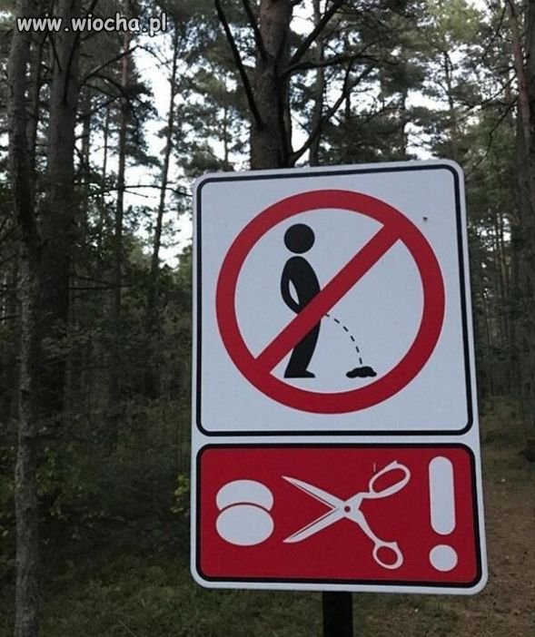 Nie musisz powtarzać!