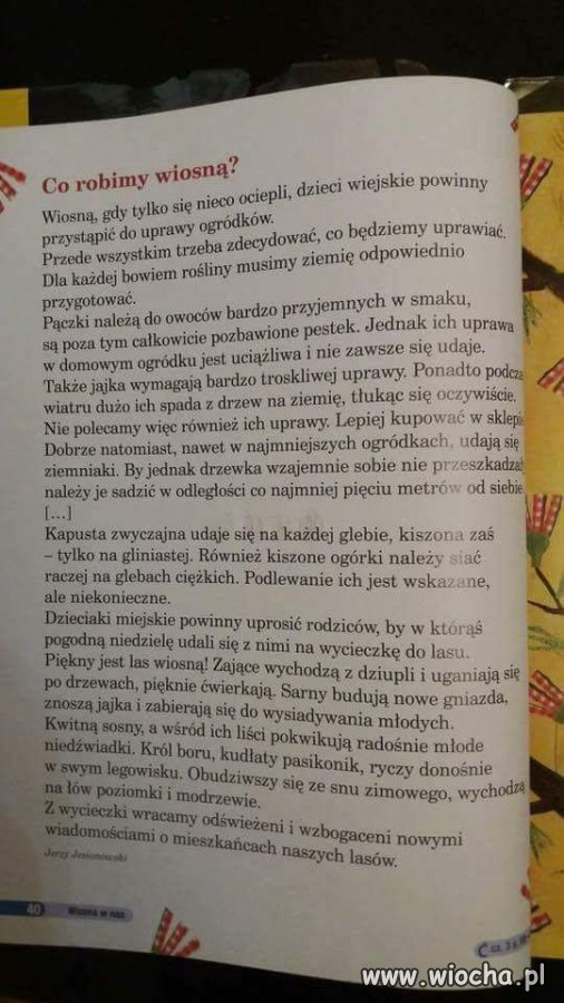 Podręcznik szkolny...czyżby pisał go ten