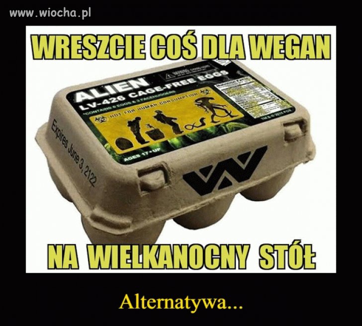 Najlepsze jaja