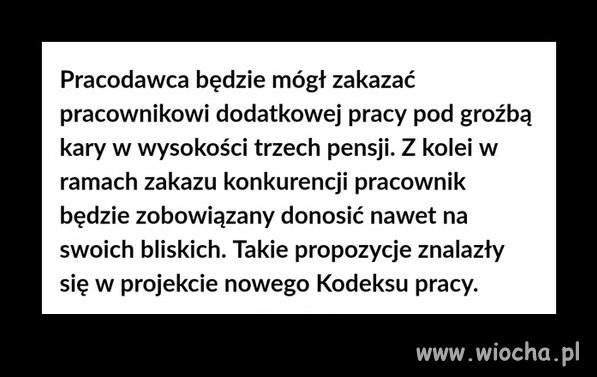 Procodawca
