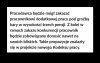 Procodawca