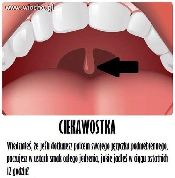 Porady internetowe