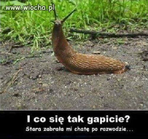 Z życia
