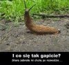 Z życia