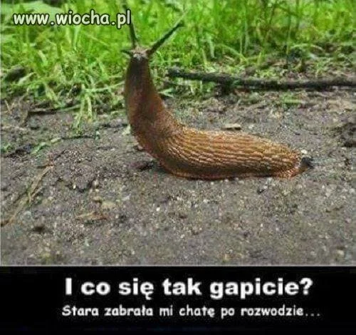 Z życia