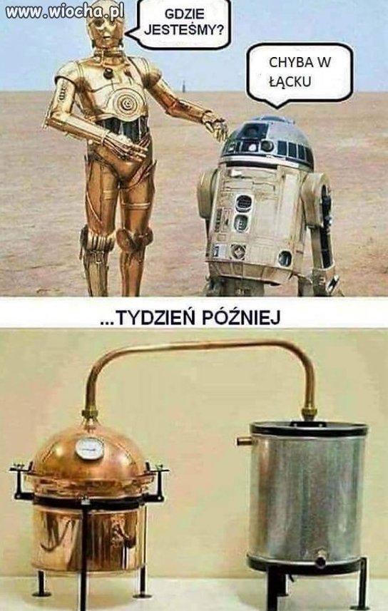 Tak powstała Łącka śliwowica