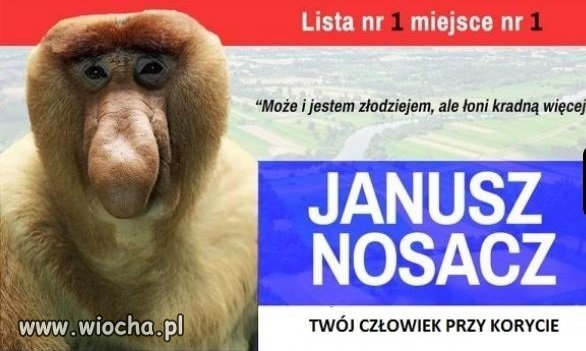 Główny kandydat