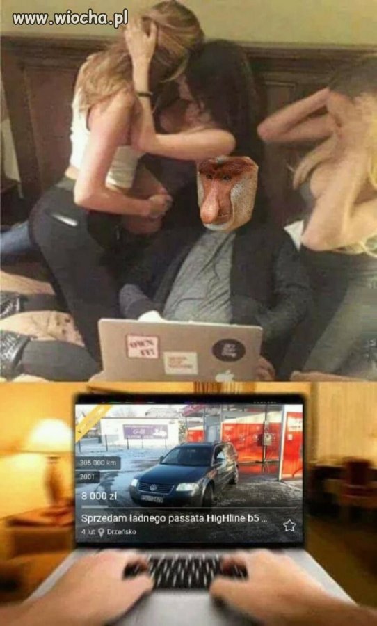 Nie można zmarnować takiej okazji