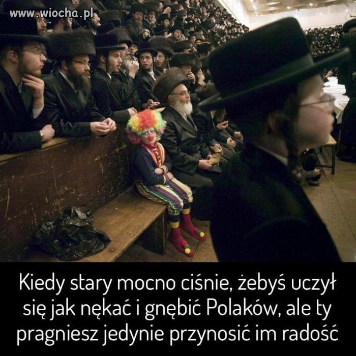 Niepokorny żyd