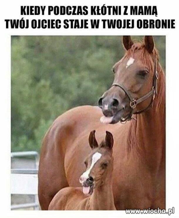 Pfff