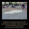 Mają tupet