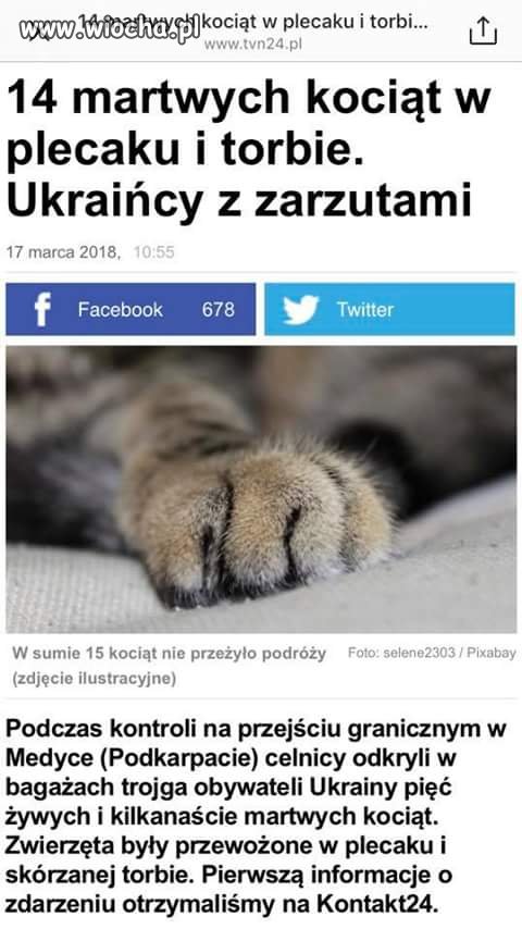 Bez komentarza 