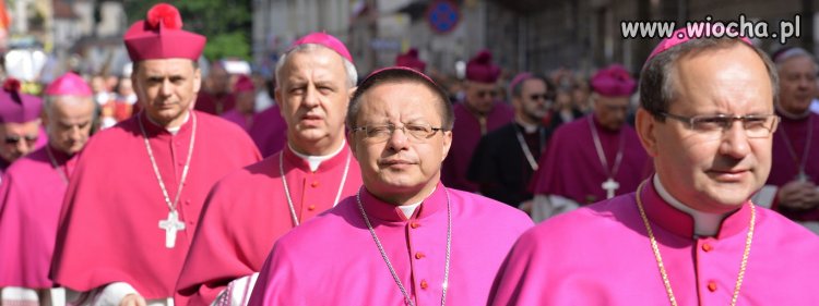 Przedstawiciele organizacji "Szlachta nie pracuje"