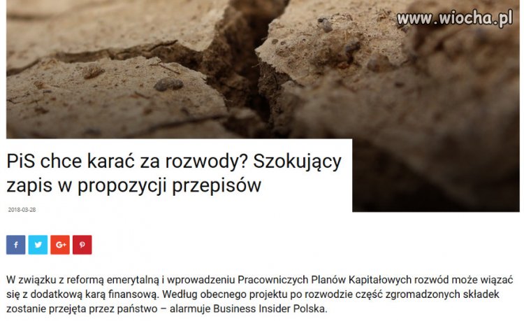 Co na to bratanica prezesa?