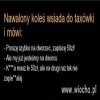 Taksówkarz