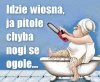 Wiosna