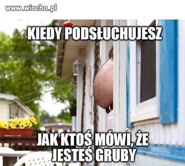 Grubas