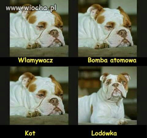 Mój ma podobnie.