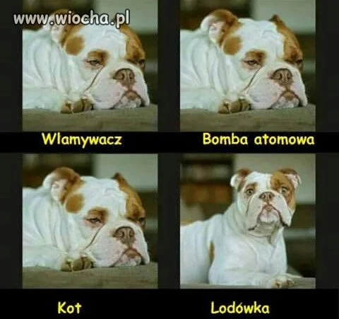 Mój ma podobnie.