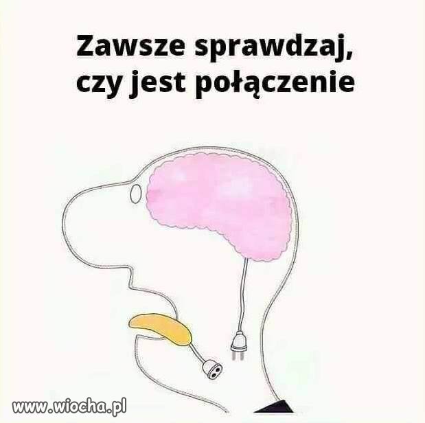 Niestety, nie wszyscy sprawdzają.