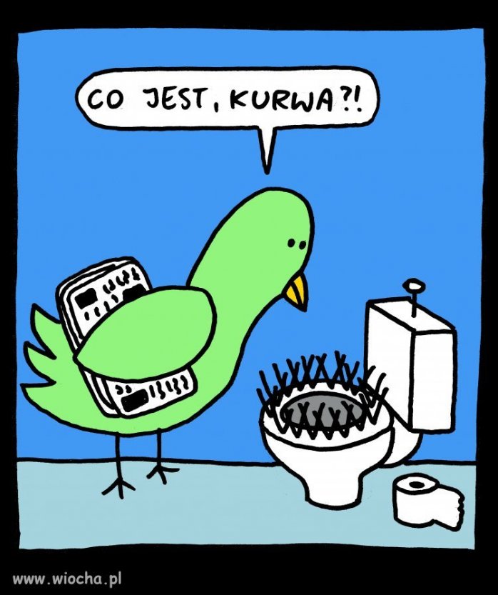 Chwila relaksu
