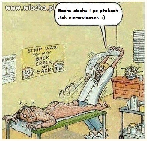 W pogoni za pięknem