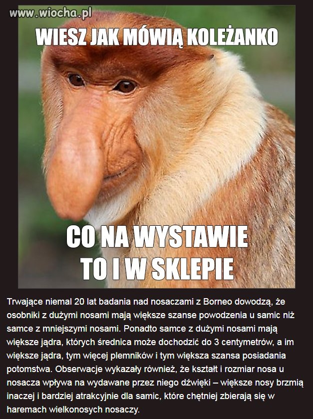 A wy się z nich śmiejecie