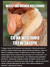 A wy się z nich śmiejecie