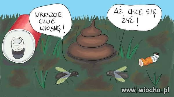 Komentarz