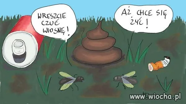 Komentarz