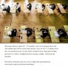 W 2021r matura z religii zaklepana