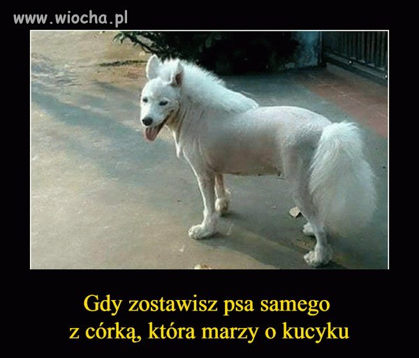 No cóż...