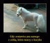 No cóż...