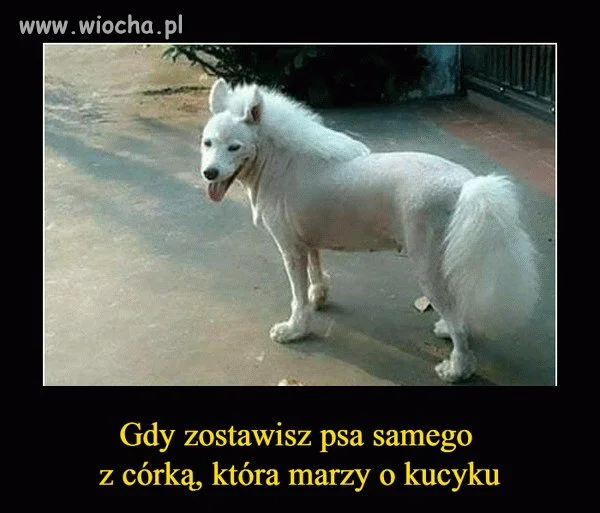 No cóż...