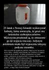 Mistrzowski plan zadziałał