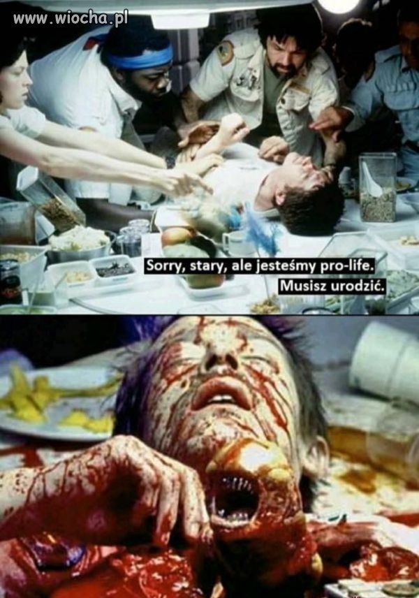 PRO-LIFE